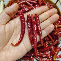 干辣椒