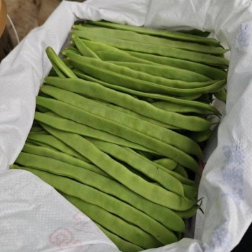 扁青4号6月1号上市