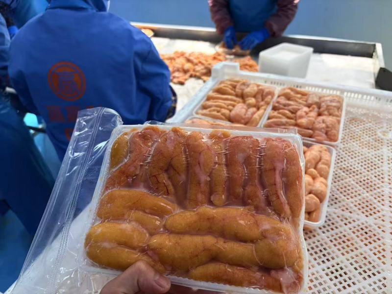 精品黑鱼籽广东源头厂家直发