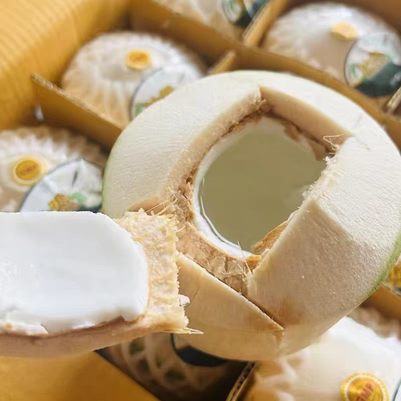 海南椰青黄金椰子热带水果产地一件代发对接电商直播量大价优