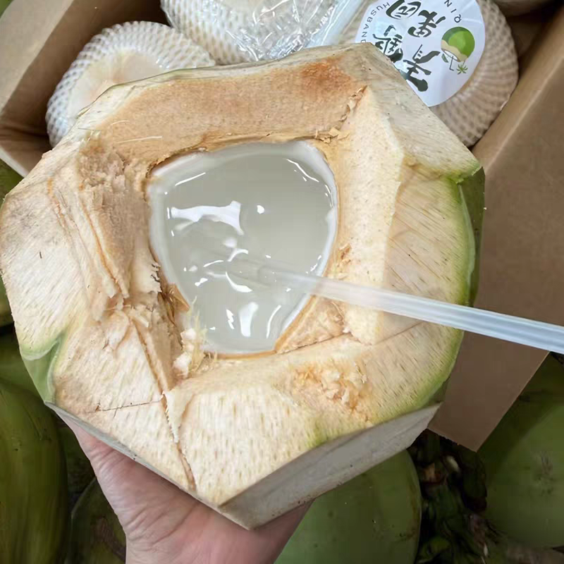 海南椰青黄金椰子热带水果产地一件代发对接电商直播量大价优