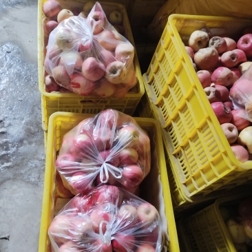 陕西瑞香红苹果