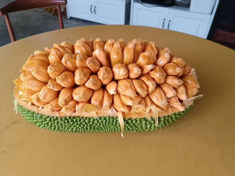 香蜜一号品种保证
