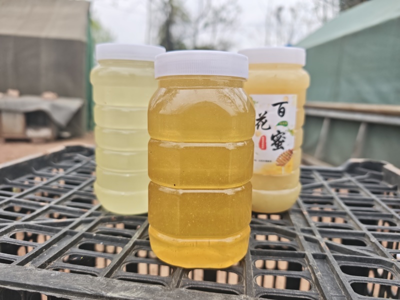 陇南油菜蜜，花椒蜜