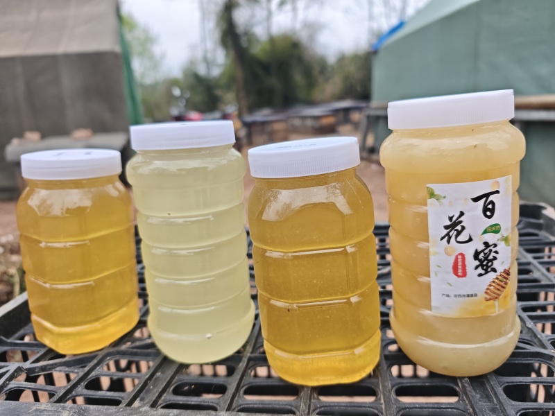 陇南油菜蜜，花椒蜜