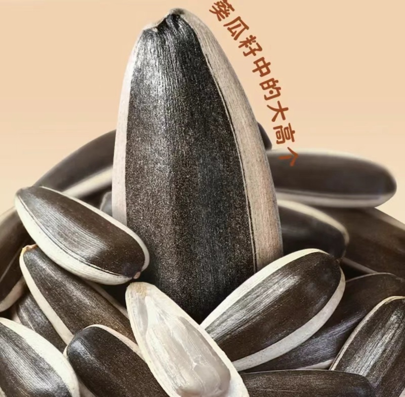 农粮大瓜子2.5kg