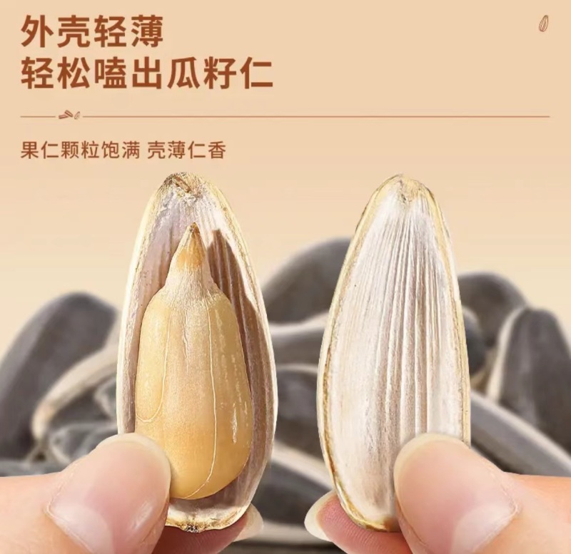 农粮大瓜子2.5kg