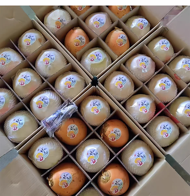 海南椰青黄金椰子热带水果产地一件代发对接电商直播量大价优