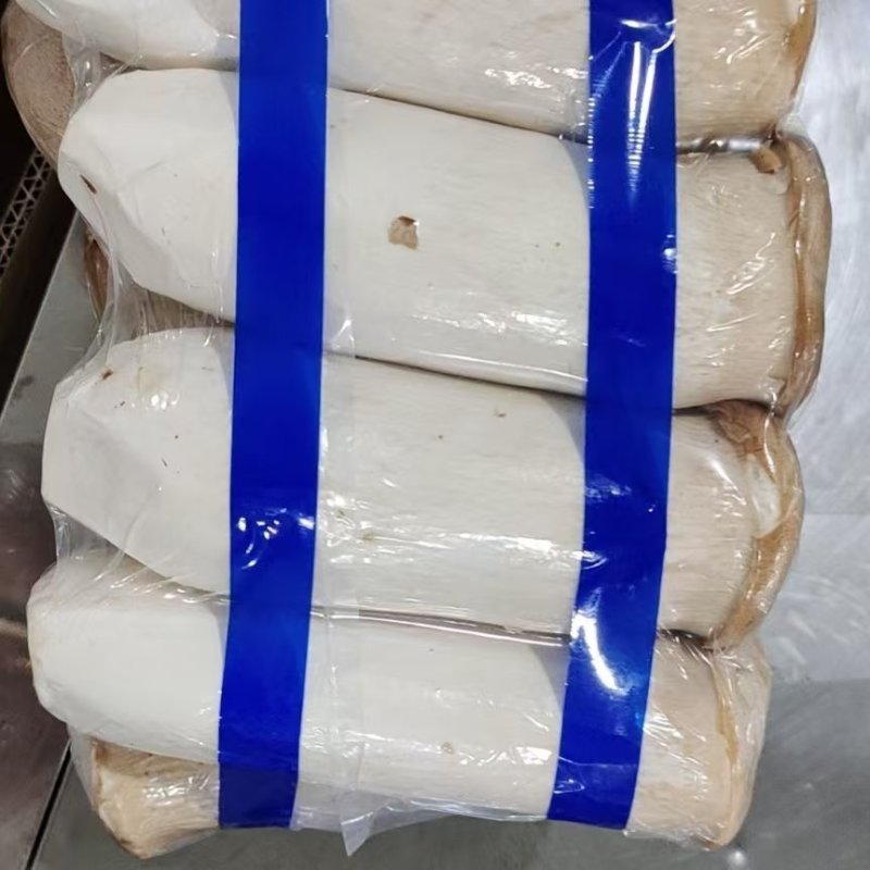 江苏连云港精品杏鲍菇新鲜现摘一手货源批发价量大从优