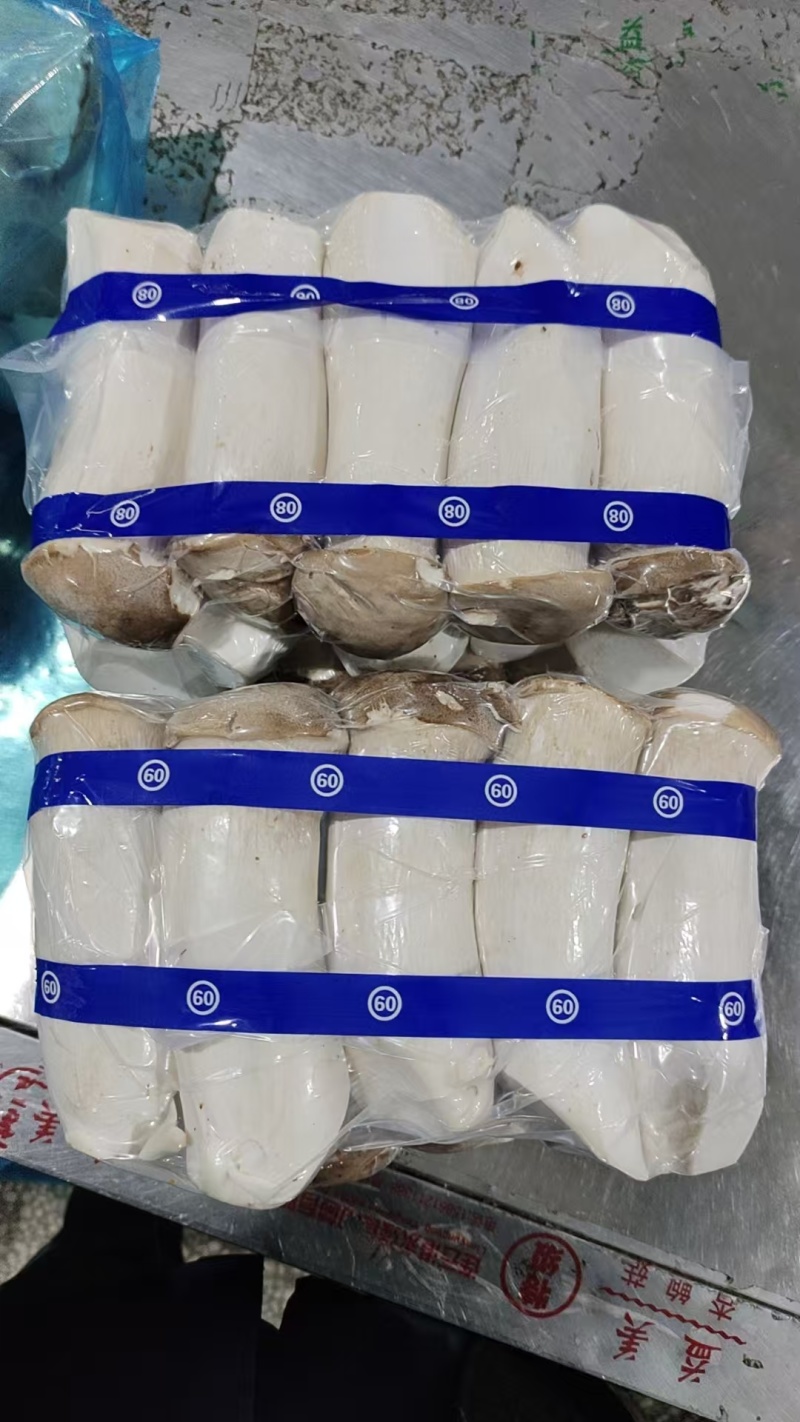 江苏连云港精品杏鲍菇新鲜现摘一手货源批发价量大从优