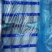 江苏连云港精品杏鲍菇新鲜现摘一手货源批发价量大从优