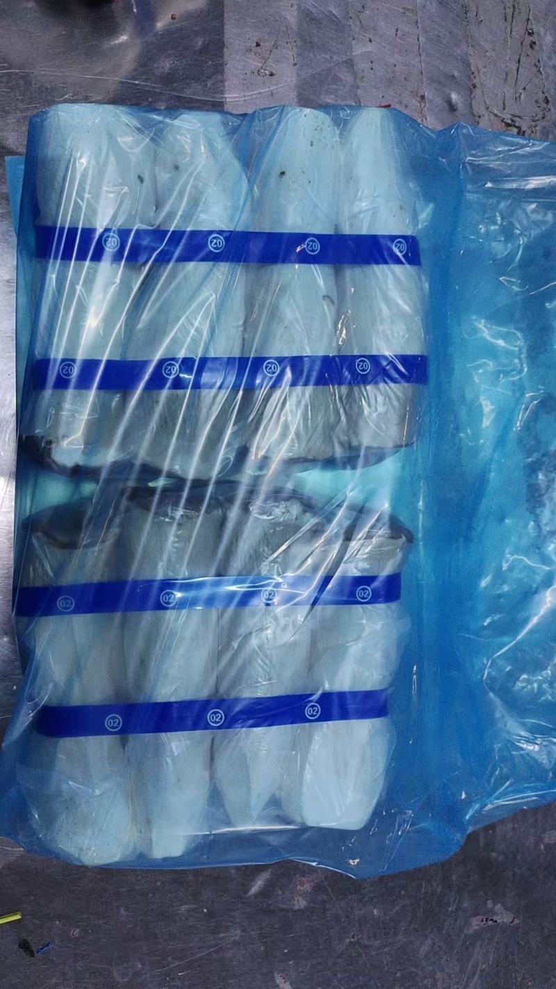 江苏连云港精品杏鲍菇新鲜现摘一手货源批发价量大从优