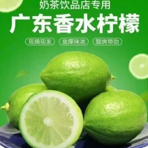 广东香水柠檬