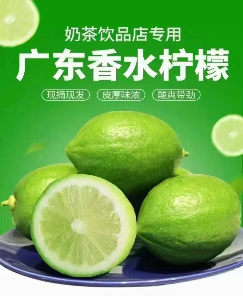 广东香水柠檬
