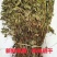 鱼腥草正品鱼腥草鱼腥草干农家自晒鱼腥无硫熏