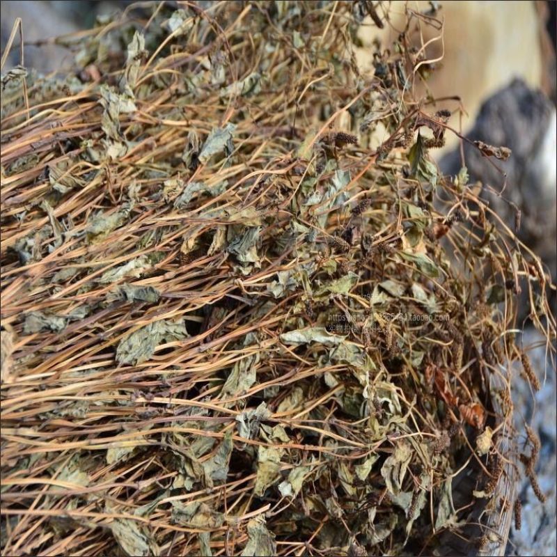 鱼腥草正品鱼腥草鱼腥草干农家自晒鱼腥无硫熏