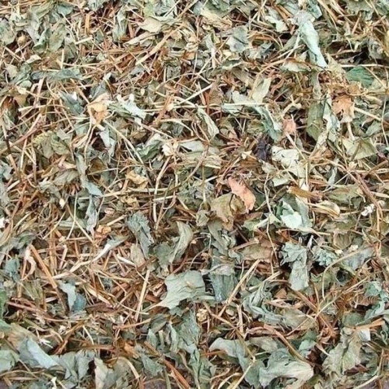 鱼腥草正品鱼腥草鱼腥草干农家自晒鱼腥无硫熏