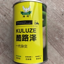 酷路泽西葫芦种子耐热杂交西葫芦种子高产早熟油亮