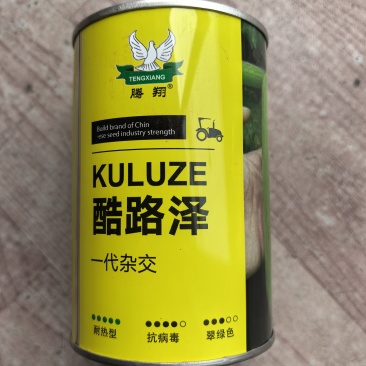 酷路泽西葫芦种子耐热杂交西葫芦种子高产早熟油亮