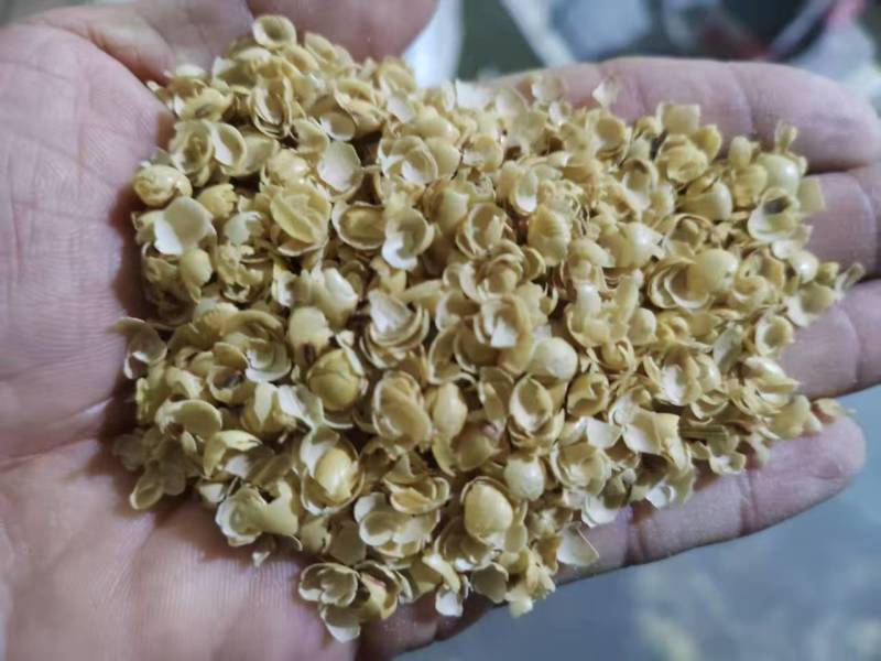 精品黄豆皮碎黄豆皮大量供应可视频看货欢迎来电采购洽谈