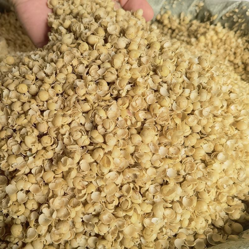 精品黄豆皮碎黄豆皮大量供应可视频看货欢迎来电采购洽谈