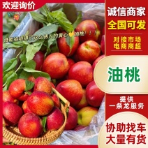 精品油桃：曙光.惊雷.中油系品种齐全.口感纯甜产地直发.