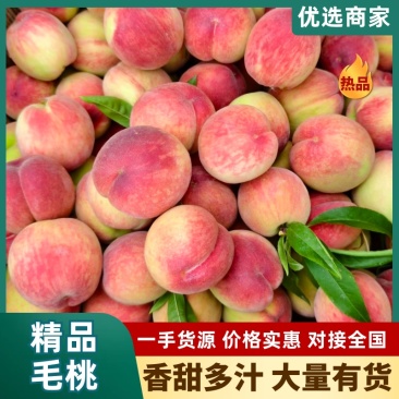 精品毛桃！美脆突围红不软黄桃等品种齐全，大量供应中！