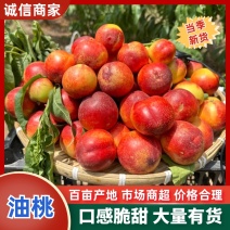 湖北产区油桃品种齐全！！产地直发.一手货源.欢迎客商选购