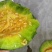 博洋九甜瓜(0.7斤打底)电话联系***********