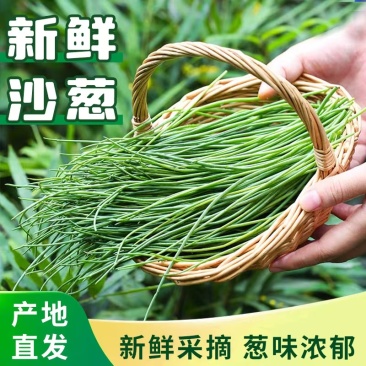 可线上交易内蒙古优质沙葱多种规格电商发市场欢迎来电咨询