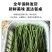 可线上交易内蒙古优质沙葱多种规格电商发市场欢迎来电咨询