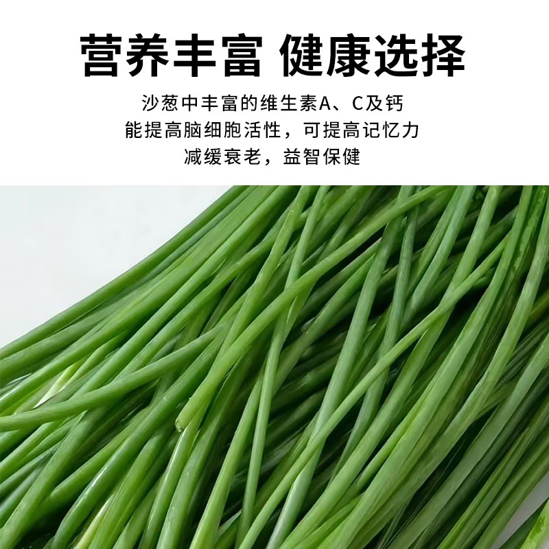 内蒙古优质沙葱多种规格适合电商一件代发市场欢迎来电咨询