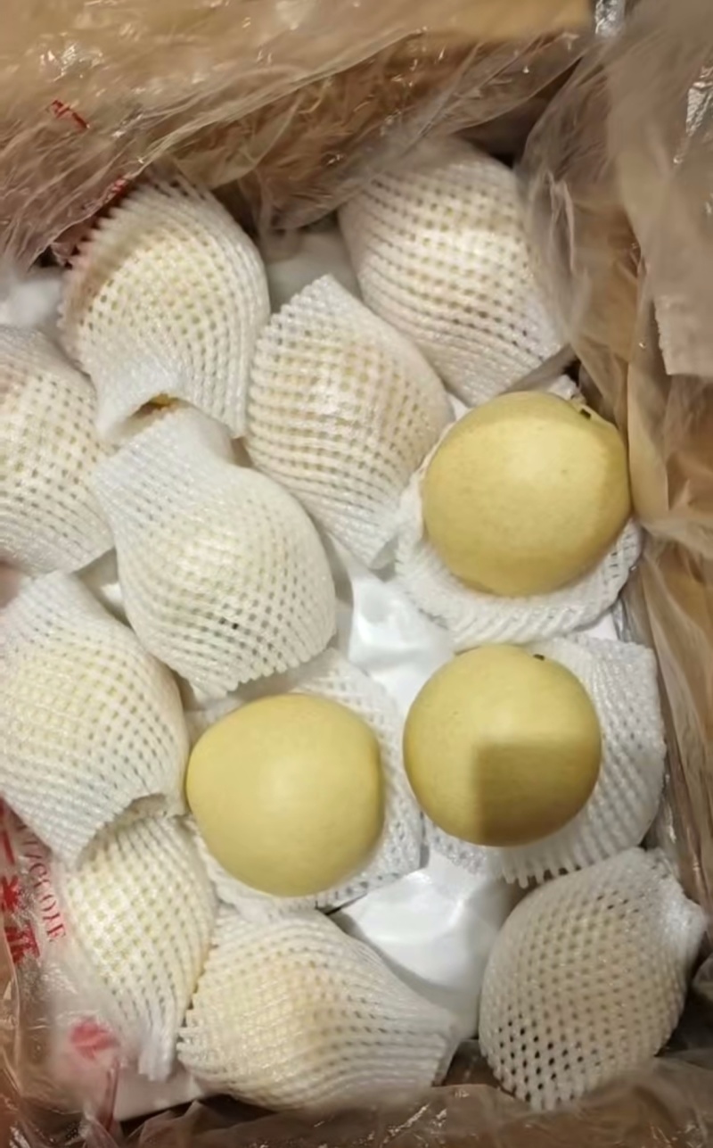 皇冠梨