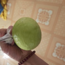 2.北流番石榴专业代办一站式服务