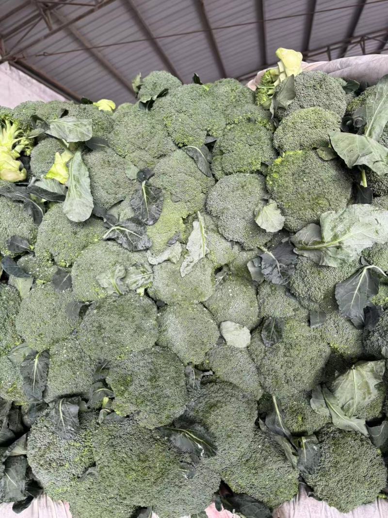 西兰花产地一手货源。量大优惠，对接全国市场电商平台