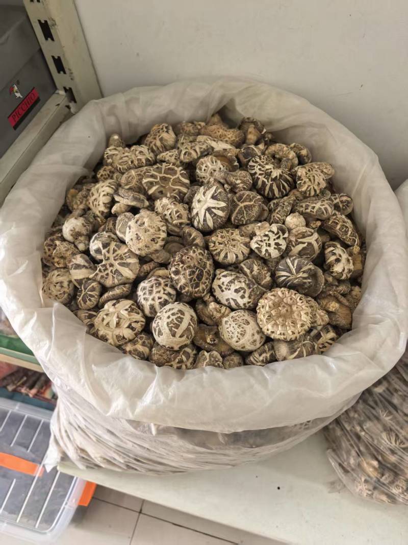 干香菇自家种植品质保障量大价格可谈欢迎来电采购