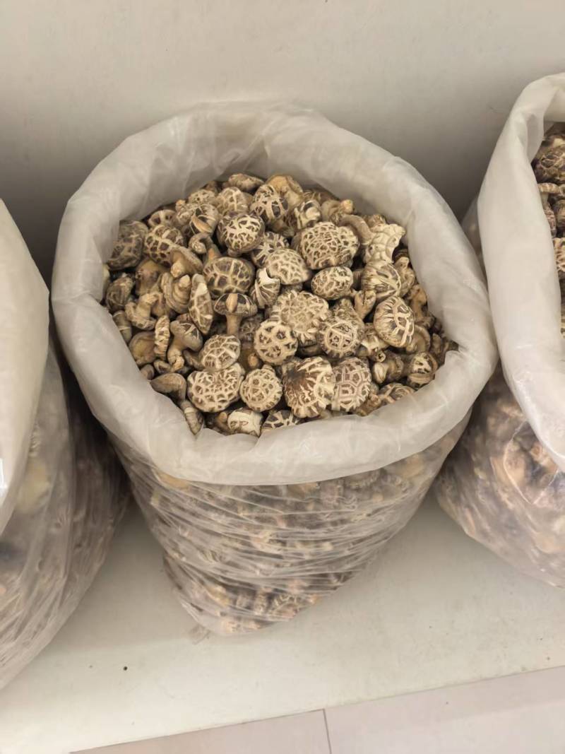 干香菇自家种植品质保障量大价格可谈欢迎来电采购