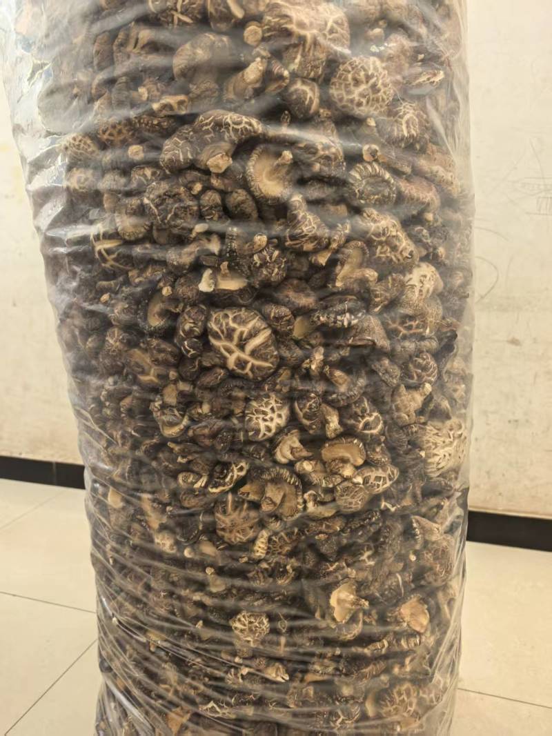 干香菇自家种植品质保障量大价格可谈欢迎来电采购