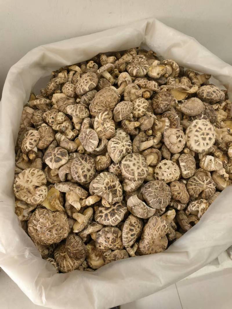 干香菇自家种植品质保障量大价格可谈欢迎来电采购