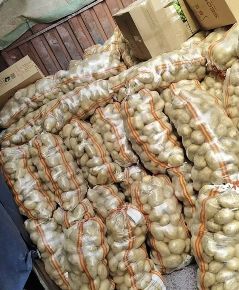 精品黄心土豆、表皮光滑，可支持-电商货-市场货-出口货等