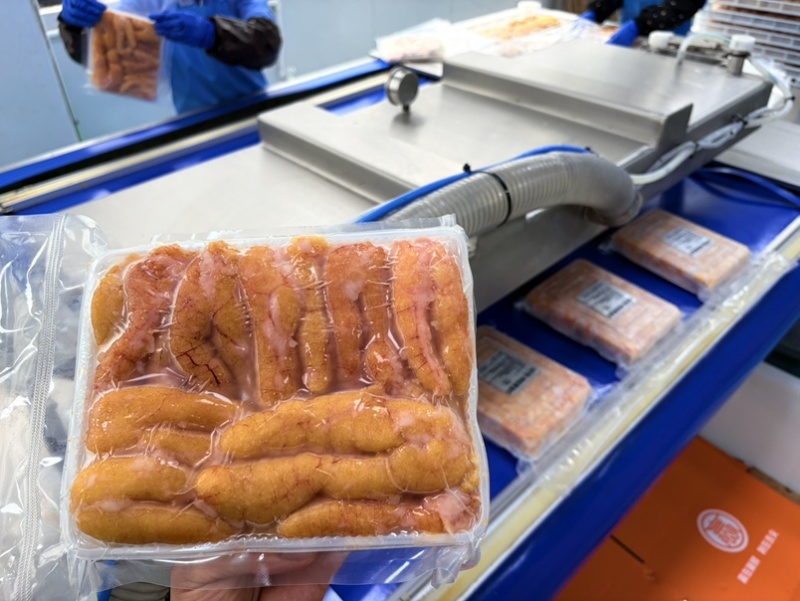 【工厂直发】特级黑鱼籽