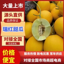 瑞红香瓜山东莘县燕店