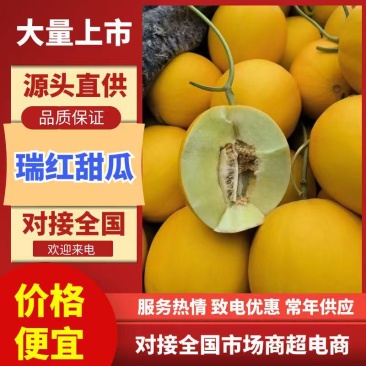 瑞红香瓜山东莘县燕店