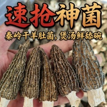 【推荐】羊肚菌干货一手货源基地直发价格优惠