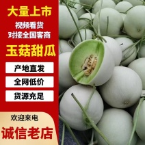 冰激凌玉菇甜瓜，山东莘县网红瓜（玉菇）