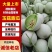 冰激凌玉菇甜瓜，山东莘县网红瓜（玉菇）