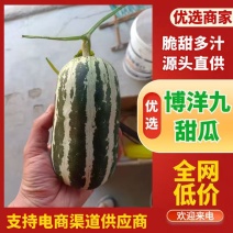 山东……博洋九号甜瓜上市中，羊角蜜绿宝甜瓜……