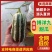 山东……博洋九号甜瓜上市中，羊角蜜绿宝甜瓜……
