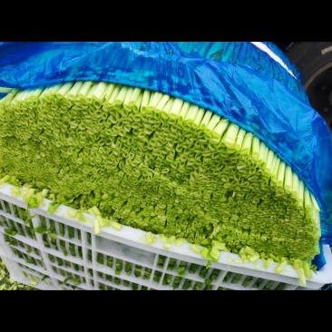 白梗柳叶空心菜，大棚种植，产地直发