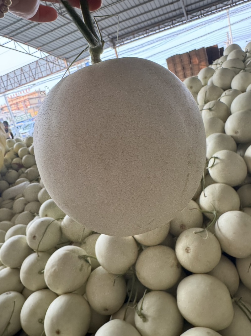 玉菇甜瓜